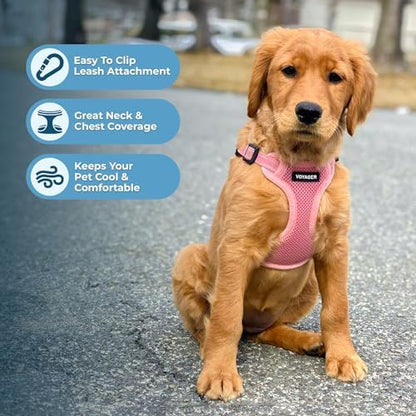 Best Pet Supplies Voyager Adjustable Step-in Flex Breathable Mesh Dog Harness for Small Medium Large Dogs Leash Set (Pink), XS