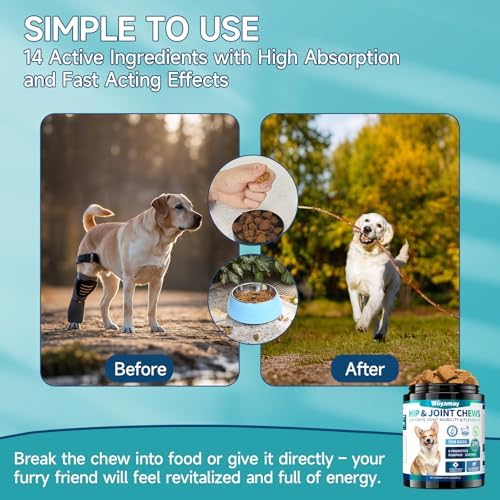 Joint Supplement for Dogs, Glucosamine for Dogs,180 Soft Chews