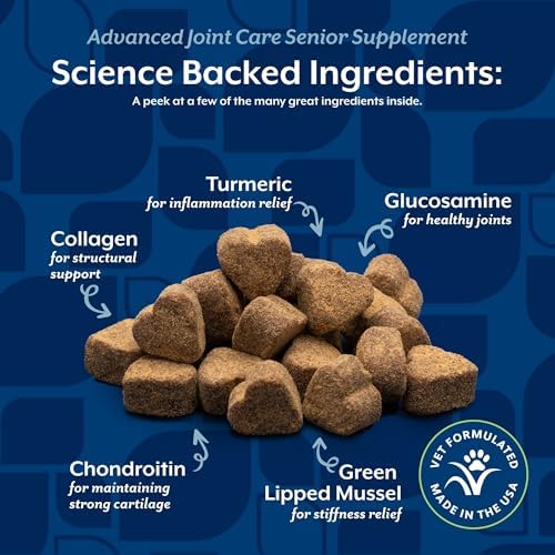 NaturVet Senior Advanced Joint Health Dog Supplement - 60 Ct