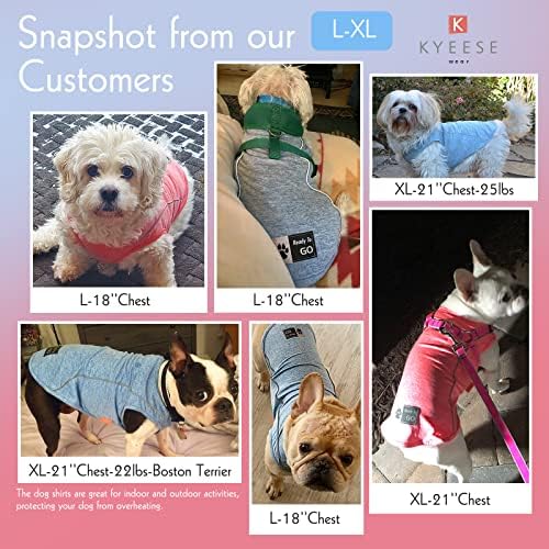 KYEESE 2Pack Reflective Dog Shirt, Lightweight Sun Protection Dog T Shirts for Small Medium Dogs, Breathable Sleeveless Pet Tank Top Summer Dogs Clothes for Night Walking Outdoor, Lake Blue+Blue, XL