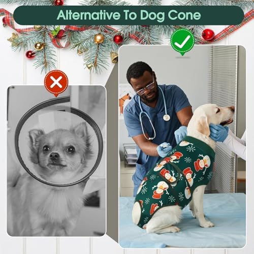 Kuoser Recovery Suit for Dogs After Surgery, Female Dog Onesie for Surgery