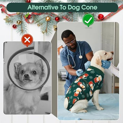 Kuoser Recovery Suit for Dogs After Surgery, Female Dog Onesie for Surgery