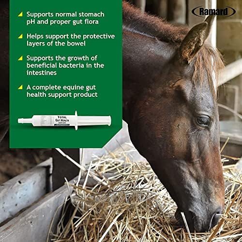 Ramard Total Gut Health Equine Digestive Support - Equine Gut Health Supplement Probiotics for Horses, Healthy Gut Vitamins, Gastric Relief, Optimum Digestive Health for Horses 1oz, 1-Pack