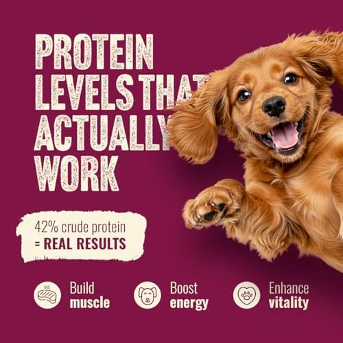 Natural Farm High Protein Dry Dog Food for All Life Stages with Collagen, Every Bag Contains 70% Beef & Pork and 30% Ancient Super Food Grains, Complete and Balanced Nutrition, 22.5 Lbs. Bag
