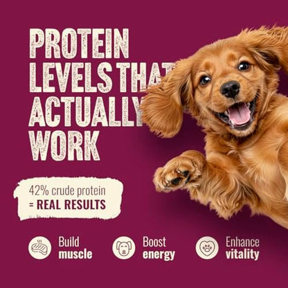 Natural Farm High Protein Dry Dog Food for All Life Stages with Collagen, Every Bag Contains 70% Beef & Pork and 30% Ancient Super Food Grains, Complete and Balanced Nutrition, 22.5 Lbs. Bag