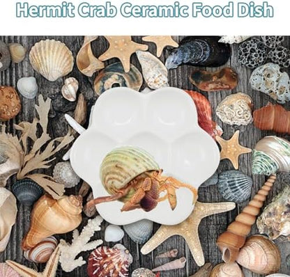 3.5" Hermit Crab Ceramic Food Dish,7 Compartments Ceramic Anti-turning Food & Water Bowl for Hermit Crab Tarantula Snail