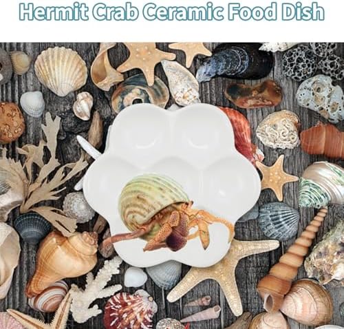 3.5" Hermit Crab Ceramic Food Dish for Hermit Crab,2Pcs