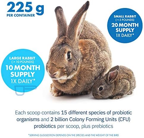 HealthyGut™ Probiotics for Rabbits Dietary Supplement, All-Natural Digestive System Formula (600 Servings)