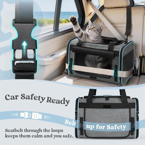 rabbitgoo Cat Carrier Soft with Rollable Flap, Travel Safe for Car Airline