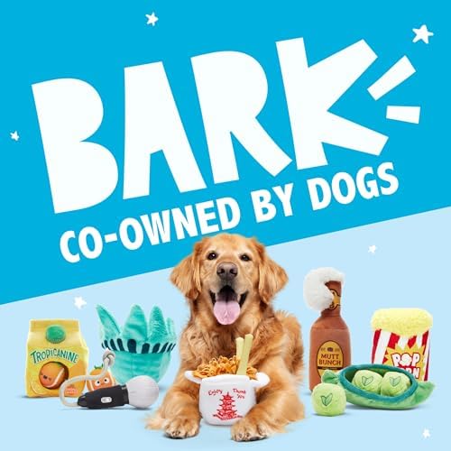 BarkBox Fresh Squeaked OJ Dog Toy - 2-in-1 - Toy for Medium Dogs