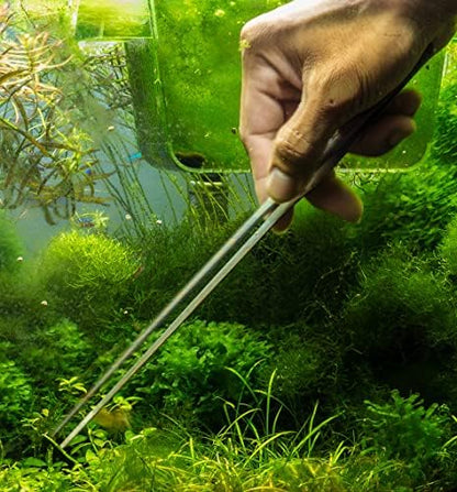 Mandala Crafts Stainless 12" Aquascape Tool Kit for Aquarium Terrariums