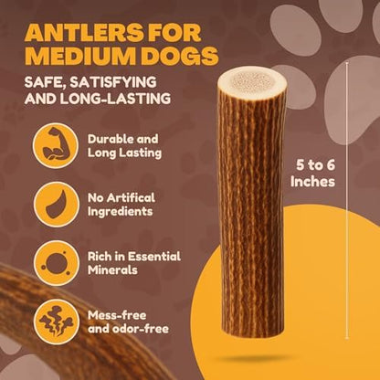 WhiteTail Naturals Whole Deer Antler Dog Chew - Medium 5-6" - 1Ct.