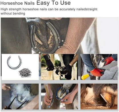 Steel 2" Horseshoe Nails E5 Horseshoe Nails Box of 250pcs