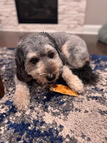 Fieldcrest Farms Nothin to Hide Flip Chips Dog Chews - Natural Rawhide Alternative Treats for Dogs, Collagen Based Snack for Moderate Chewers Up to 35lbs, Beef Flavor