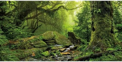 Forest Green Tree Terrarium Backdrop Reptile Habitat Background 30x12 in
