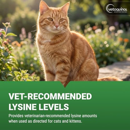 Vetoquinol Viralys - Lysine Supplement for Cats & Kittens - Supports Eye Wellness, Respiratory Health & Immune Strength - Flavored Oral Powder for Easy Feeding & Daily Use - 600 Grams