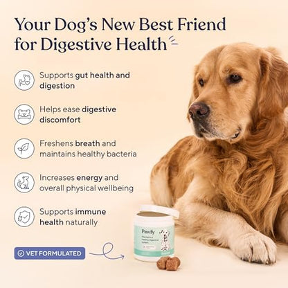 Pawfy Probiotics for Dogs - Digestive & Gut Health Supplement for Yeast