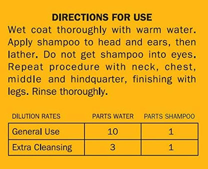 Davis HAS12 Honey Almond Pet Shampoo, 12 oz