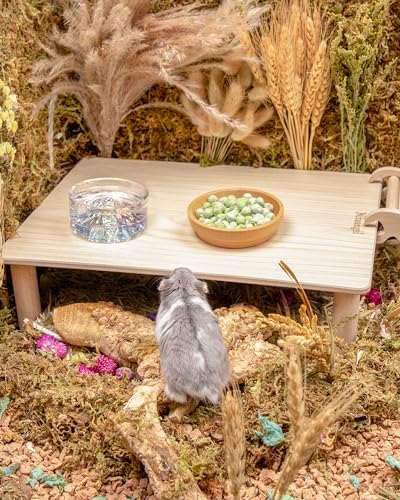Niteangel Hamster Snack & Treats Toy - Freeze-Dried Pea & No Additive