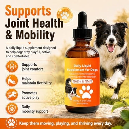 Dog Longevity Supplement with NMN, NAD+, CoQ10 & Resveratrol