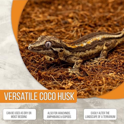 ReptiEarth Reptile Bedding, Fluffy Coconut Fiber Substrate 12 Quart Organic Coco Ready to Use for Bioactive Snake Terrarium, Lizard Tanks with Plants, for Frog, Tarantula or Hermit Crab Habitat (2 Pk)
