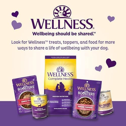Old Mother Hubbard by Wellness Classic Natural Puppy Treats, Crunchy Oven-Baked Biscuits, Ideal for Training, Mini Size Dog Treats, 20 Ounce Bag (Pack of 2)