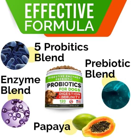 STRELLALAB Dog Probiotics Chews + Enzymes Gut Health Support