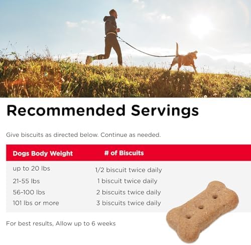 Nutri-Vet Hip & Joint Dog Biscuits, 166mg Glucosamine, 16oz (Pack of 2)