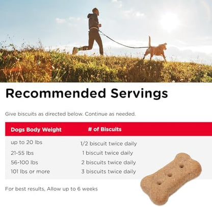 Nutri-Vet Hip & Joint Dog Biscuits, 166mg Glucosamine, 16oz (Pack of 2)