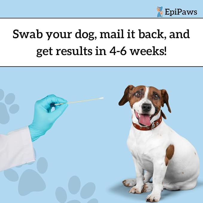 Pet Age Test for Dogs & Cats - Includes Wellness Insights for Your Pet’s Life Stage - At Home Epigenetic Biomarker Testing Kit, Great for Rescued Pets