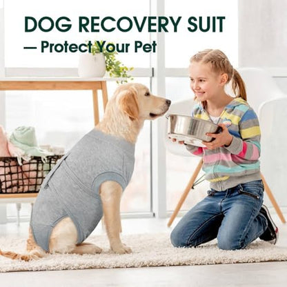 Kuoser Recovery Suit for Dogs After Surgery, Female Dog Onesie for Surgery