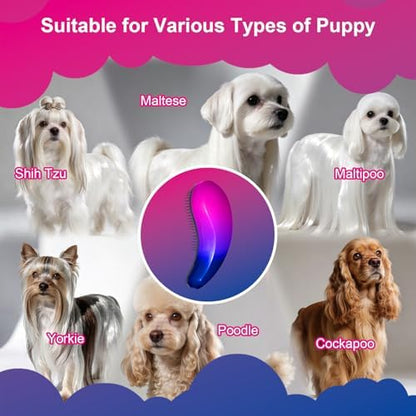 Small Dog Brush, Skin-friendly Soft Bristles (Gradient Color)