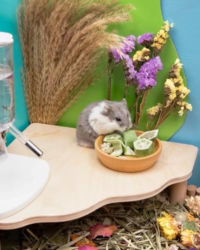 Niteangel Hamster Snack Treat Toy: Freeze-Dried Okra & No Additive