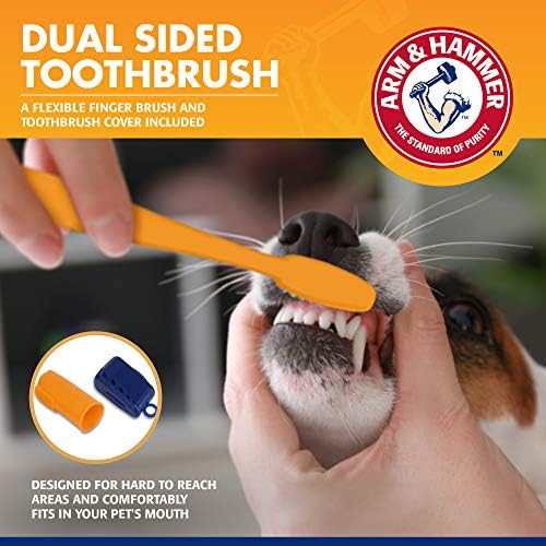 Arm & Hammer Tartar Control Dog Dental Kit, Banana Mint, 3-Piece