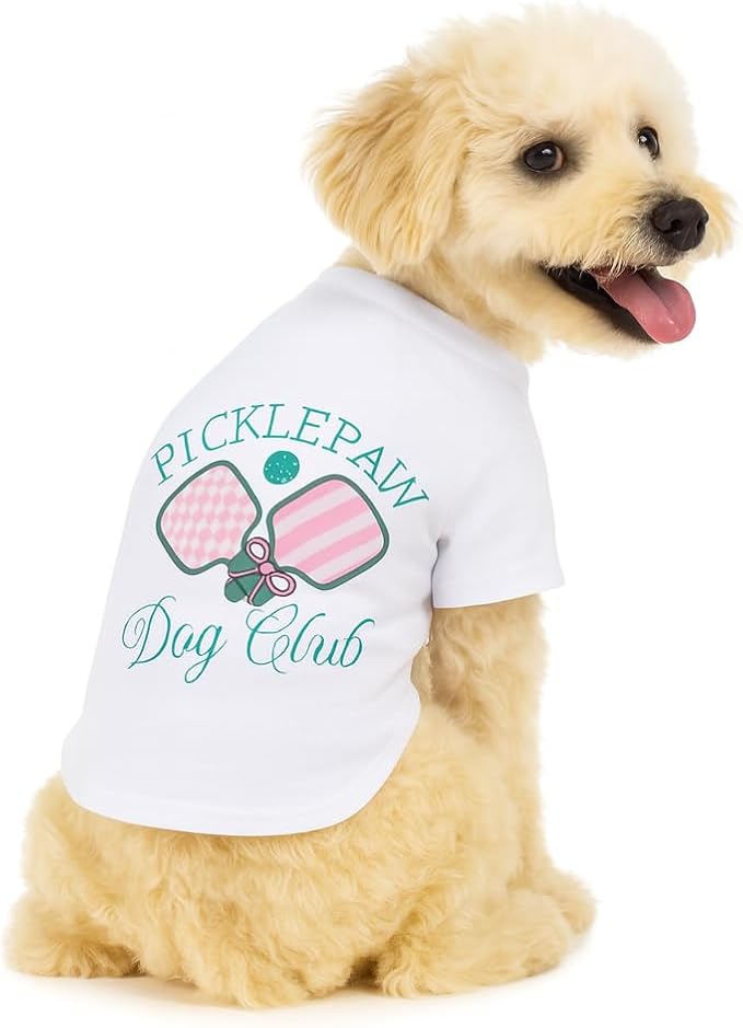 Luxury Designer Dog T Shirt – Trendy Puppy Clothes for Small Dogs, Fashion Pet Tee for French Bulldogs & Chihuahuas, Everything Chic Dog Apparel