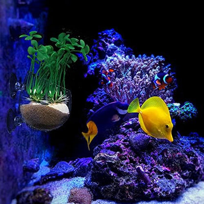 CHENGU 6 Pieces Aquatic Plant Pot with Hole Glass Aquarium Plant Cup Aquatic Planter with Suction Cups Plant Holder Aquarium Decoration for Aquarium Shrimp Fish Live Plants, 3 Styles