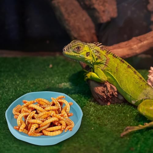 COMSUN 4 Pack Small Reptile Food Dish Bowl, Plastic Worm Water Dish Plate