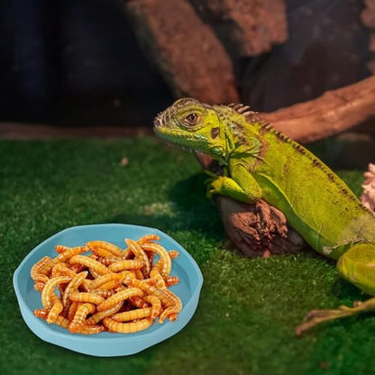 COMSUN 4 Pack Small Reptile Food Dish Bowl, Plastic Worm Water Dish Plate