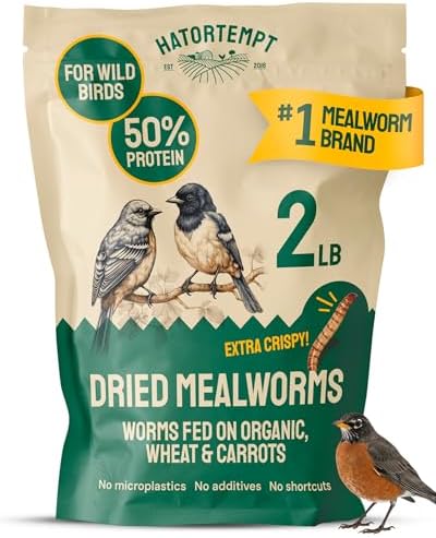 Hatortempt 2lb Dried Mealworms for Wild Birds & Chickens, Wild Bird Food