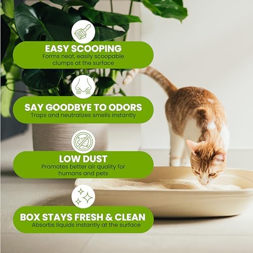 Natural Unscented Cat Litter - 10 lbs - Plant-Based, Clumping, Biodegradable, Non-Toxic, Compostable, Eco-Friendly, Odor Control, Low Dust, Safe for Cats & Kittens. (Pack of 2)