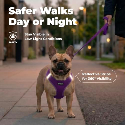 Voyager Step-in Air Dog Vest Harness - Purple, Medium