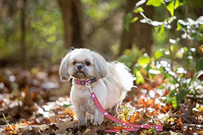 Pets First Collegiate Pet Accessories, Dog Leash, Clemson Tigers, Medium (Pack of 2)