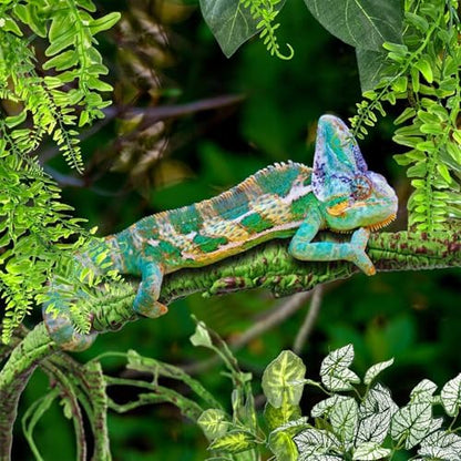 Hamiledyi Fake Reptile Plants for Tank, Bendable Snake Climbing Vines