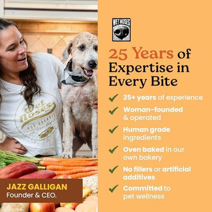 Wet Noses Organic Crunchy Dog Treats Grain Free – All-Natural, Human-Grade, Non-GMO, Healthy Training & Delicious Snacks for Dogs, for All Dog Sizes & Breeds – Pumpkin & Quinoa, 14oz (Single Pack)