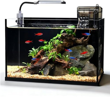 2.8 Gallon Glass Fish Tank,Small Fish Tank with Light and Filter