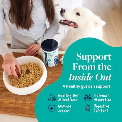 Veterinary Formula Smart Vitality Gut Health Soft Chews for Dogs, 120 Count
