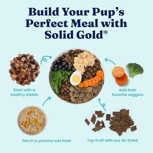 Solid Gold Wet Dog Food Topper, Salmon & Chicken, Skin & Coat, 6ct