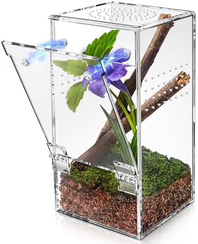 Jumping Spider Enclosure - 3x3x6 Inch Mini Tarantula Enclosure, Small Jumping Spider Accessories terrarium, Acrylic Full Transparency Child Play Tortoise Enclosure, Bug Terrarium, Spider Terrarium