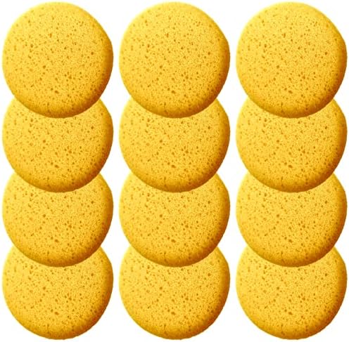 A Box of 12 Tack Sponges (Middle Hole)