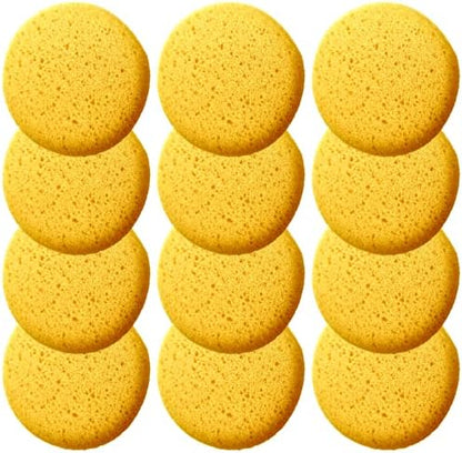 A Box of 12 Tack Sponges (Middle Hole)